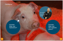 Load image into Gallery viewer, Holdning og handling - for svineprodusenter