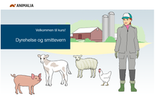 Load image into Gallery viewer, Dyrehelse og smittevern - for storfe, gris, fjørfe og sau