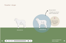 Load image into Gallery viewer, Sau360: Sauehold gjennom året