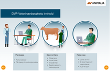 Load image into Gallery viewer, Dyrevelferdsprogrammer og veterinærens rolle (alle moduler)