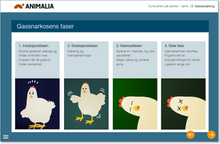 Load image into Gallery viewer, Kurs i dyrevelferd på slakteri av fjørfe