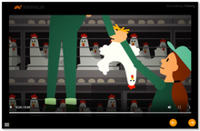 Load image into Gallery viewer, Kurs i god plukking av verpehøner for eggprodusenter