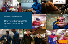 Load image into Gallery viewer, Dyrevelferdsprogrammer og veterinærens rolle (alle moduler)