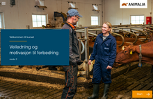 Load image into Gallery viewer, Dyrevelferdsprogrammer og veterinærens rolle (alle moduler)