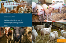 Load image into Gallery viewer, Dyrevelferdsprogrammer og veterinærens rolle (alle moduler)