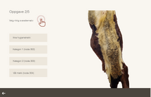 Last inn bildet i Galleri-visningsprogrammet, Reinere storfe - gratis nettkurs
