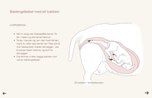 Load image into Gallery viewer, Sau360: Sauehold gjennom året
