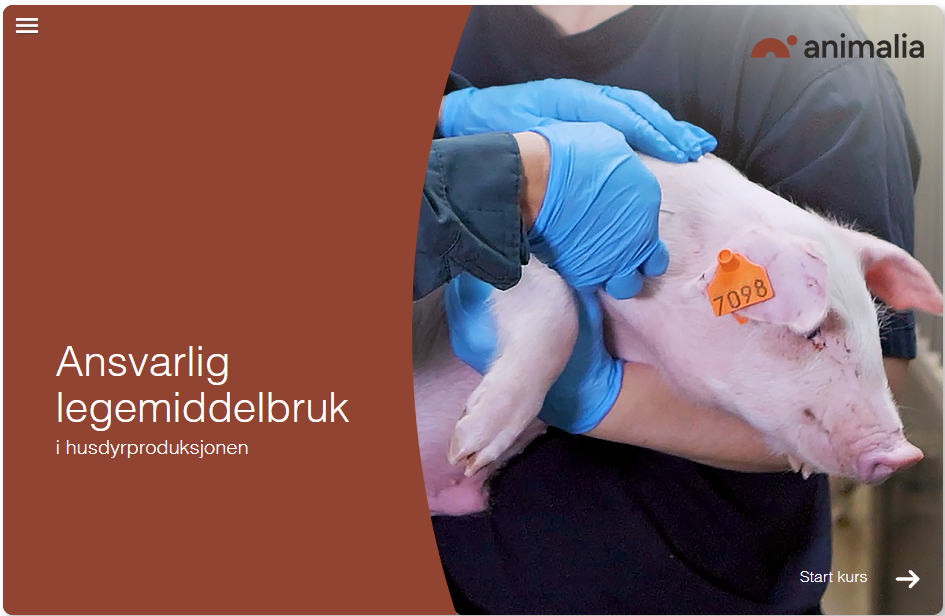 Ansvarlig legemiddelbruk i husdyrproduksjon